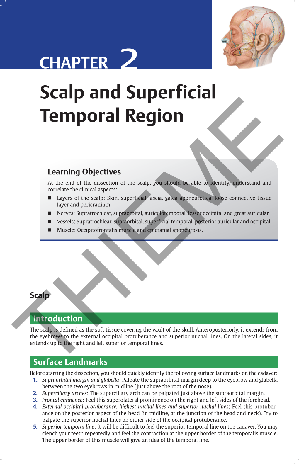 Scalp and Superficial Temporal Region