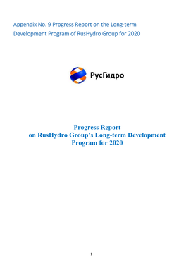 Progress Report on Rushydro Group's Long-Term Development