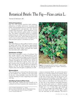Botanical Briefs: the Fig—Ficus Carica L