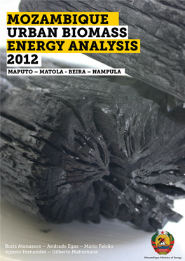 Mozambique Urban Biomass Energy Analysis 2012 Maputo – Matola - Beira – Nampula