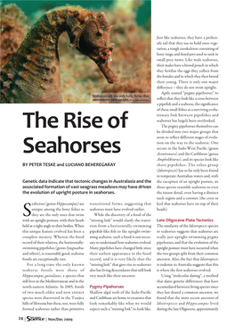 The Rise of Seahorses