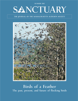 S Nctuary the Journal of the Massachusetts Audubon Society