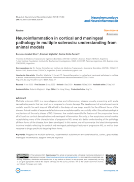 Neuroinflammation in Cortical and Meningeal Pathology in Multiple Sclerosis: Understanding from Animal Models
