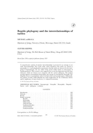 Reptile Phylogeny and the Interrelationships of Turtles