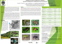 Amphibians of Mount Bamboutos, Cameroon: Diversity, Distribution, Conservation Status and Threats
