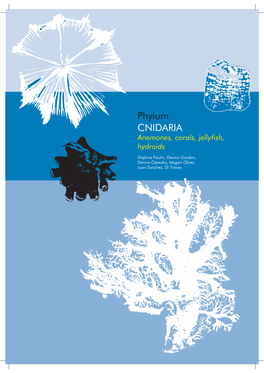 Phylum CNIDARIA Anemones, Corals, Jellyfish, Hydroids
