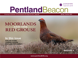 Moorlands Red Grouse