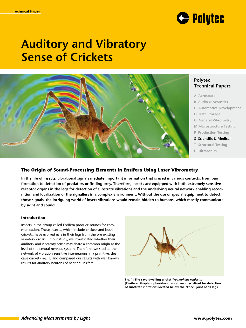 Auditory and Vibratory Sense of Crickets Application Note