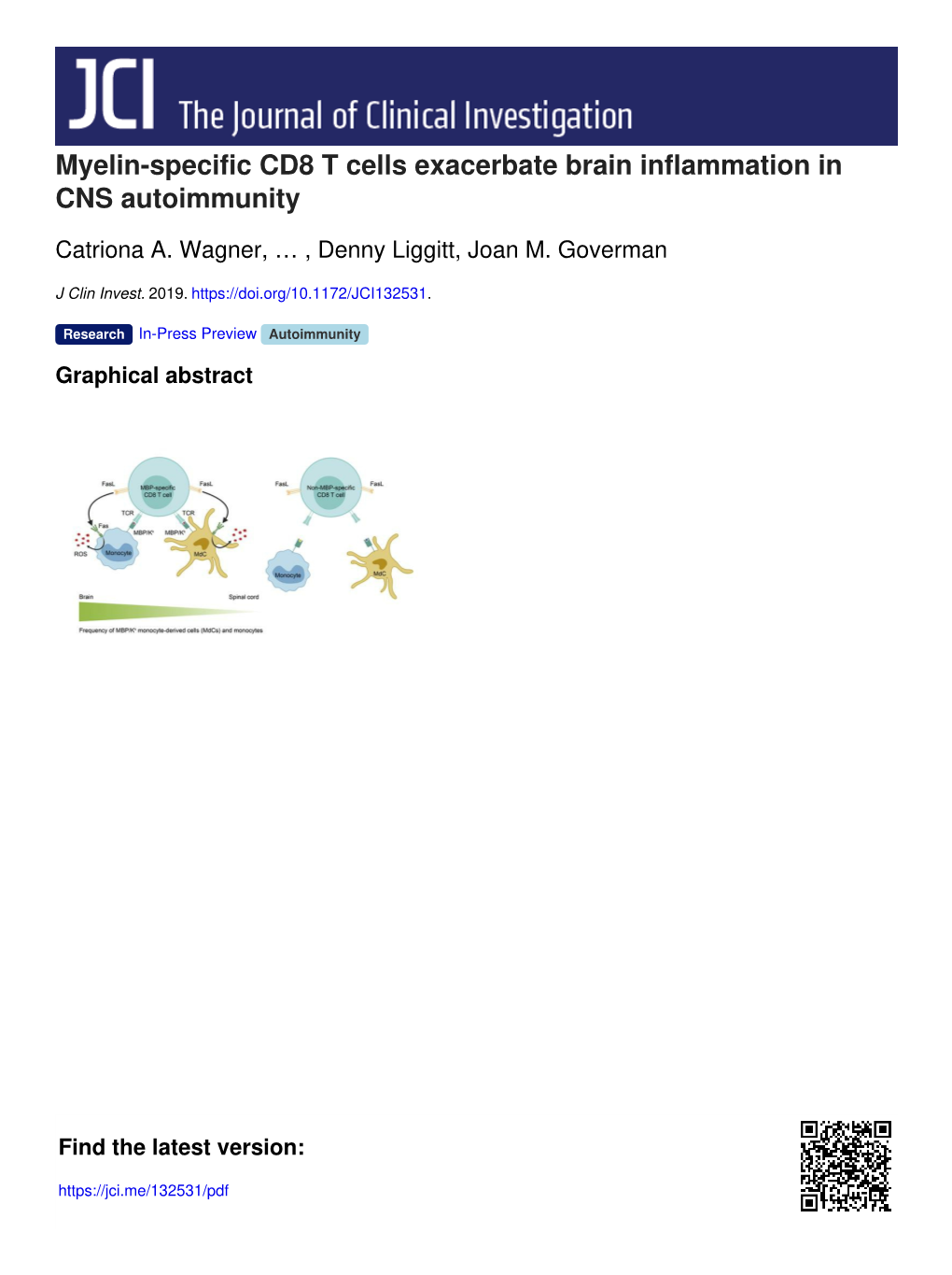 Myelin-Specific CD8 T Cells Exacerbate Brain Inflammation in CNS Autoimmunity