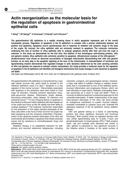 Actin Reorganization As the Molecular Basis for the Regulation of Apoptosis in Gastrointestinal Epithelial Cells