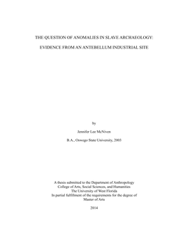 The Question of Anomalies in Slave Archaeology