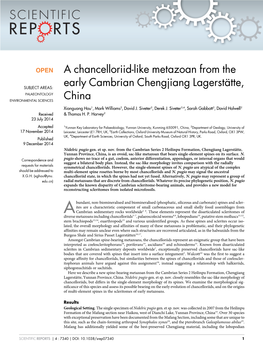 A Chancelloriid-Like Metazoan from the Early Cambrian Chengjiang