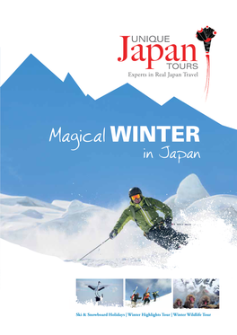 Magical WINTER in Japan