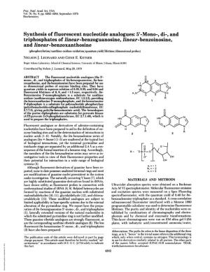 Triphosphates of Linear-Benzoguanosine, Linear-Benzoinosine, and Linear-Benzoxanthosine