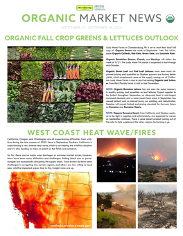 Organic Market News September 11 - September 18, 2020 Organic Fall Crop Greens & Lettuces Outlook