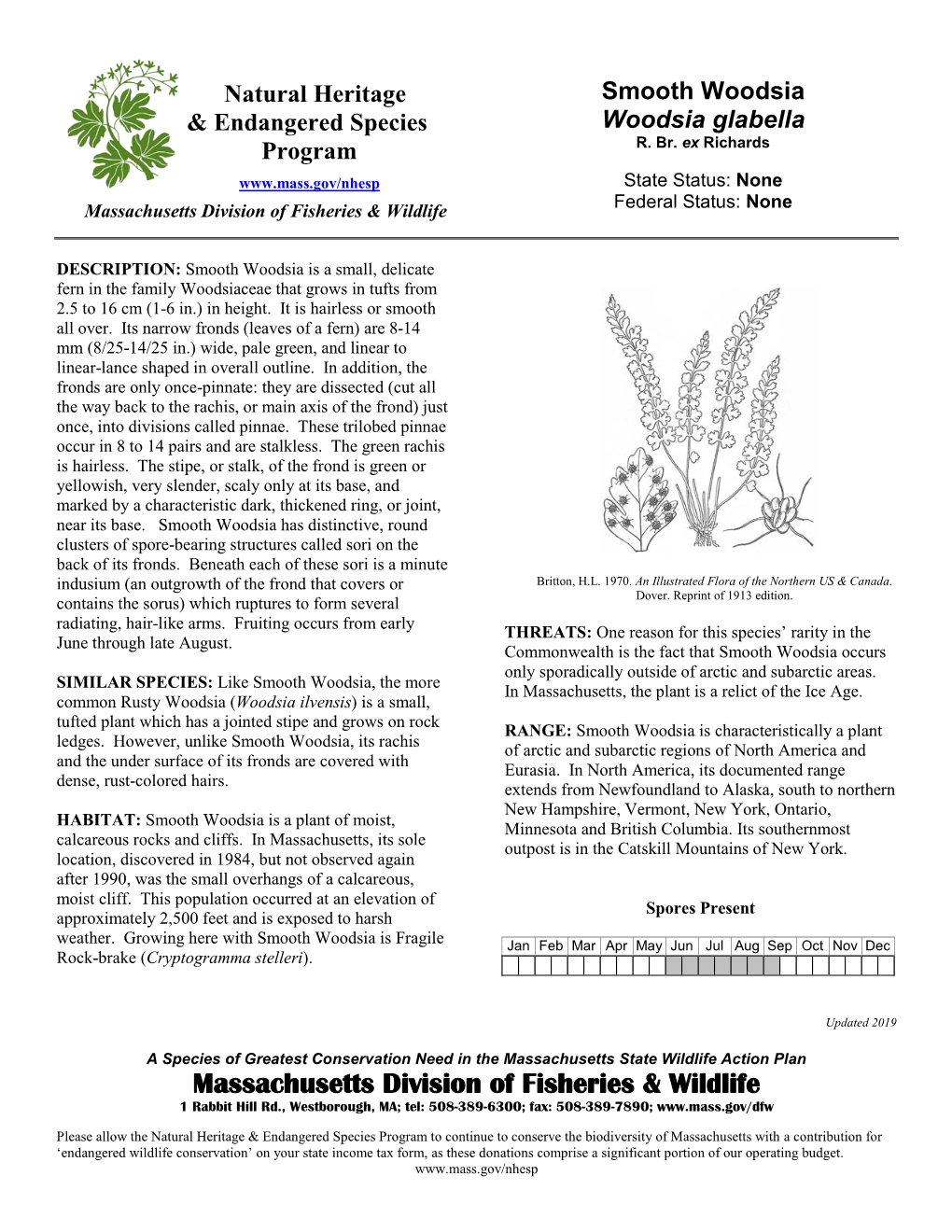 Smooth Woodsia & Endangered Species Woodsia Glabella R