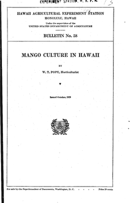 Mango Culture in Hawaii