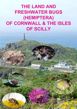 Hemiptera) of Cornwall & the Isles of Scilly