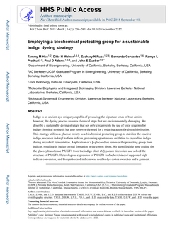 Employing a Biochemical Protecting Group for a Sustainable Indigo Dyeing Strategy