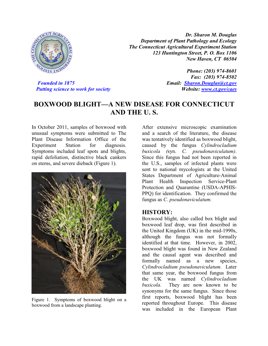 Boxwood Blight—A New Disease for Connecticut and the U