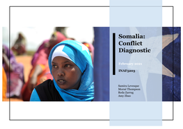 2021 Somalia Conflict Diagnostic