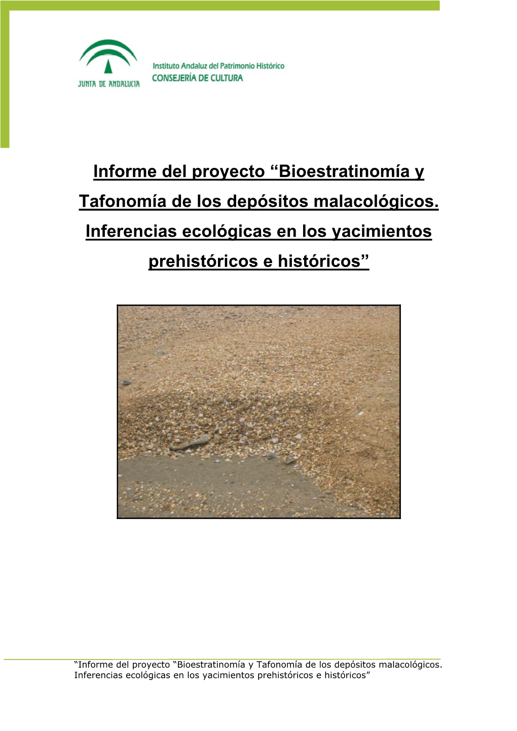 Informe Del Proyecto “Bioestratinomía Y Tafonomía De Los Depósitos ...