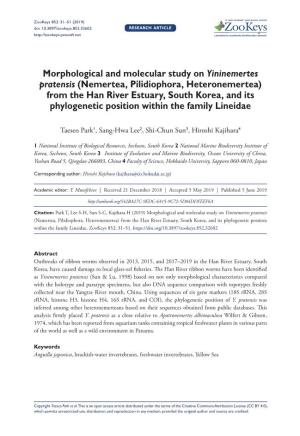 Morphological and Molecular Study on Yininemertes Pratensis