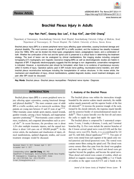Brachial Plexus Injury in Adults