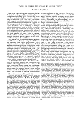 Types of Foliar Dichotomy in Living Ferns 1