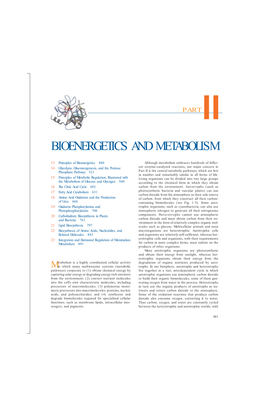 Bioenergetics and Metabolism