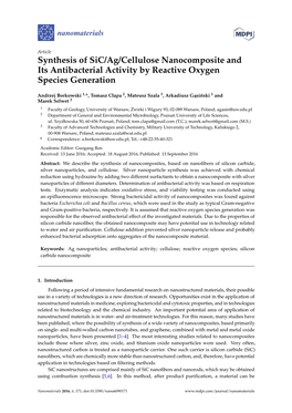 Synthesis of Sic/Ag/Cellulose Nanocomposite and Its Antibacterial Activity by Reactive Oxygen Species Generation