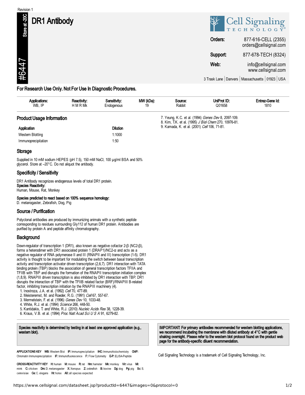 DR1 Antibody A