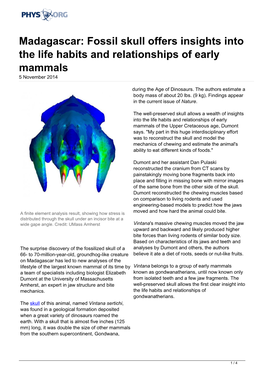 Madagascar: Fossil Skull Offers Insights Into the Life Habits and Relationships of Early Mammals 5 November 2014