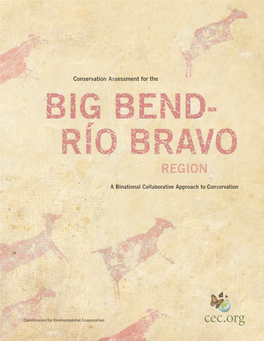 Conservation Assessment for the Big Bend-Río Bravo Region: a Binational Collaborative Approach to Conservation