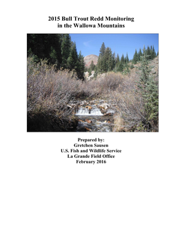 2015 Bull Trout Redd Monitoring in the Wallowa Mountains