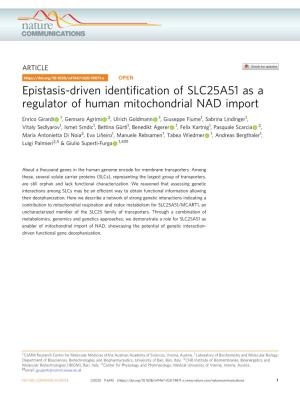 Epistasis-Driven Identification of SLC25A51 As a Regulator of Human