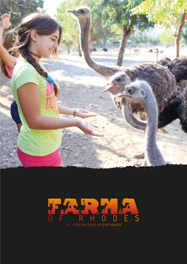 An Interactive Experience the Core of Our Services Is the Ability of the Guests to Interact with the Animals, Not Just Observe Them