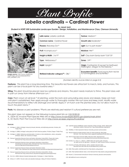 Plant Profile: Lobelia Cardinalis