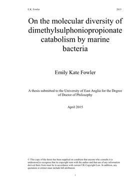 On the Molecular Diversity of Dimethylsulphoniopropionate Catabolism by Marine Bacteria