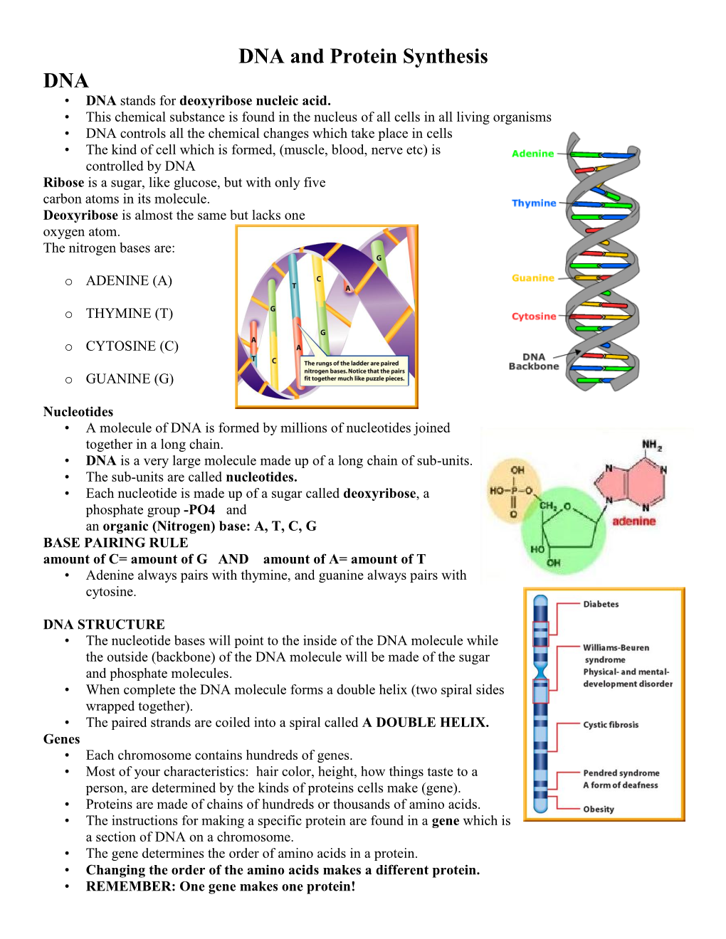 DNA Stands for Deoxyribose Nucleic Acid