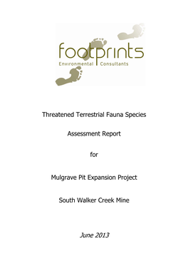 Appendix B1: Mulgrave Pit Assessment Report