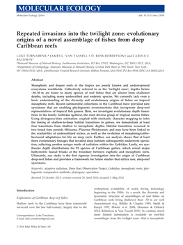 Evolutionary Origins of a Novel Assemblage of Fishes from Deep