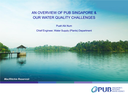 An Overview of Pub Singapore & Our Water Quality