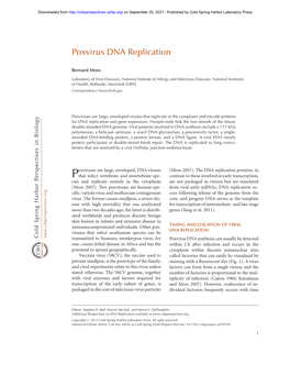 Poxvirus DNA Replication