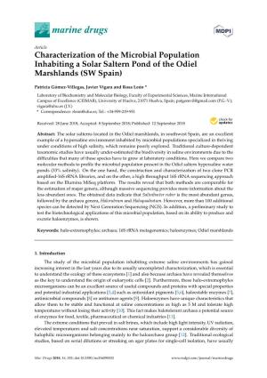 Characterization of the Microbial Population Inhabiting a Solar Saltern Pond of the Odiel Marshlands (SW Spain)