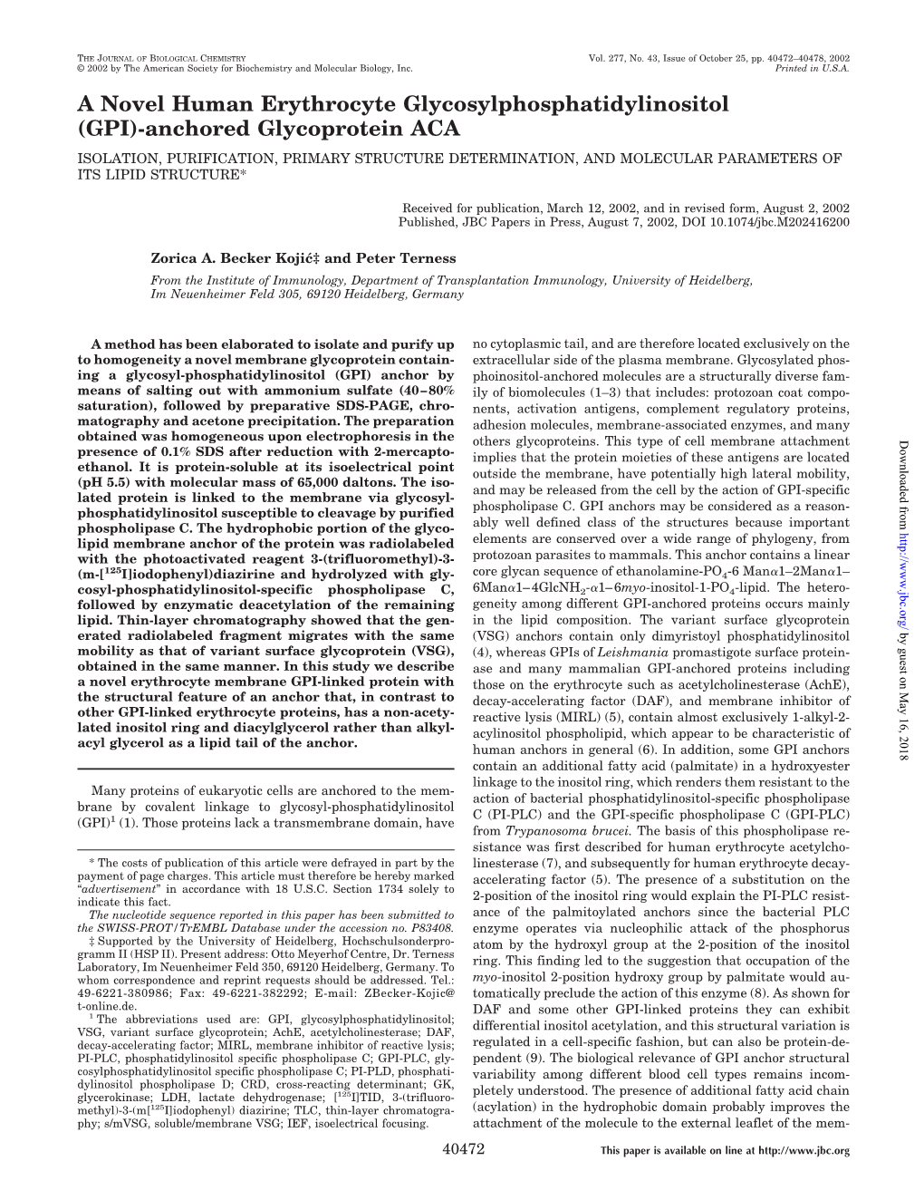 (GPI)-Anchored Glycoprotein ACA ISOLATION, PURIFICATION, PRIMARY STRUCTURE DETERMINATION, and MOLECULAR PARAMETERS of ITS LIPID STRUCTURE*