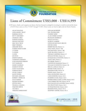 Lions of Commitment US$3,000 - US$14,999