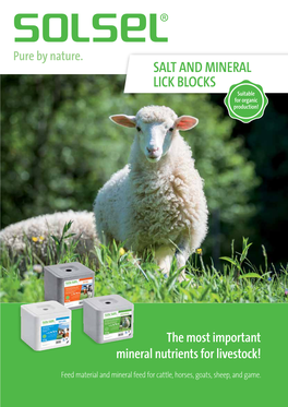 SALT and MINERAL LICK BLOCKS Suitable for Organic Production!