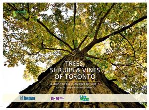 Trees, Shrubs and Vines of Toronto Is Not a Field Guide in the Typical Sense