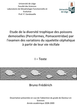 Bruno Frédérich I